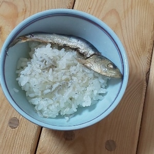 鰯親子ご飯♪いわししらすごはん♪ほぐして乗せても♪